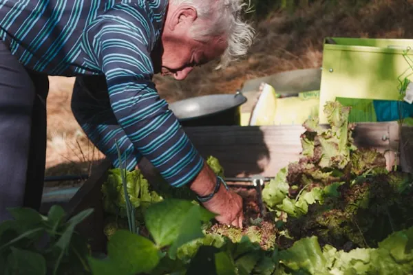 An older man tending to his garden at home